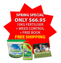SPRING SPECIAL